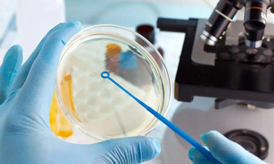 福建试管医院 2023福建省试管婴儿医院费用一览表，附试管助孕费用花费明细参考 ‘3个月四维彩超看男女’