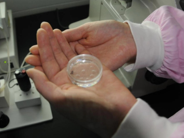 佛山试管婴儿 佛山妇幼做试管婴儿大概费用多少钱?-佛山试管婴儿价格 ‘b超查男女会不会把脐带看成是男孩’