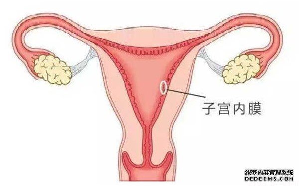 温州私人机构供卵 温州试管医院名单整理 ‘做b超看孩子男女，她腿夹着，怎么让他换姿势啊’