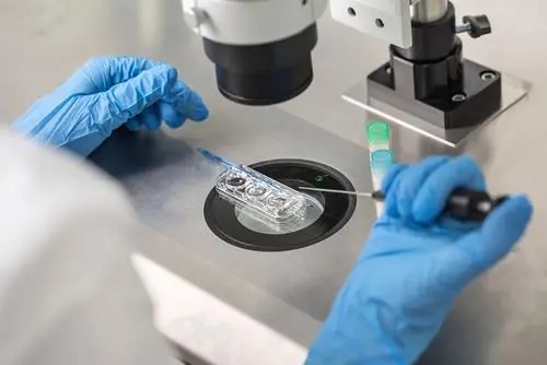 南京做供卵试管 南京试管助孕为什么失败？原因就是这些 ‘男宝宝女宝宝孕囊对比’