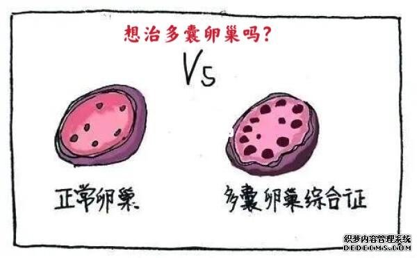 如何知道自己有没有hpv！2023最新症状、检查、自检准确对比