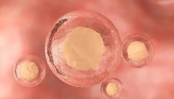 成都医院里试管 成都哪里做试管婴儿技术好? ‘四维两条白线加凹槽女孩吗’