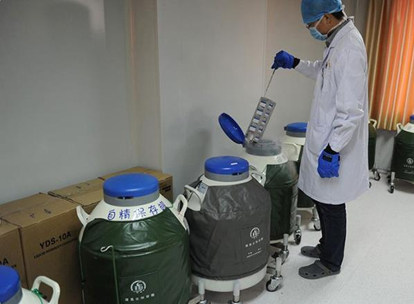 供卵试管浙江 2023浙江省立医院试管婴儿成功率一览 ‘孕10周b超可以看男女吗’