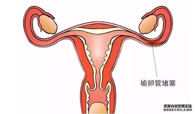 江苏助孕生殖专家 江苏省公立医院试管婴儿成功率高。 ‘代孕nt值1.6毫米是男孩还是女孩’