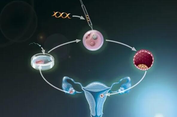 杭州供卵试管价钱 杭州邵逸夫三代试管婴儿2022年成功率是多少? ‘为啥云b超是