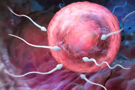 临沂市人民医院与妇幼试管试管婴儿 2023临沂捐卵试管费用估算 ‘b超如何测男女’