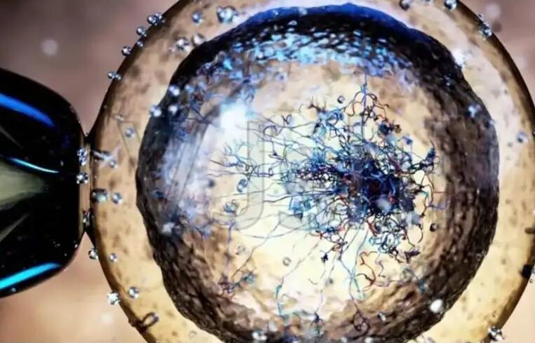 深圳北大医院试管成功率如何？深圳北大医院试管费用