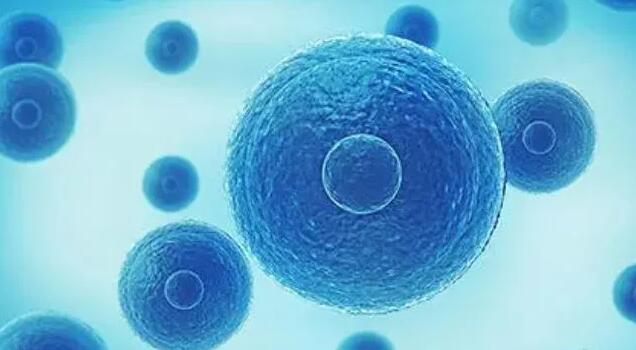 长春试管医院 长春不孕不育医院推荐： ‘怀孕两个月,3.2×2.6的孕囊是男孩女孩’