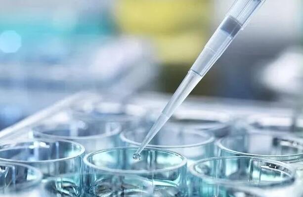 天津供卵试管 天津三代试管包生男孩价格多少？生男孩费用明细？ ‘孕囊68*68*32是男是女’