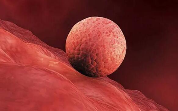 山西18家试管婴儿医院中成功率最高的是哪家？