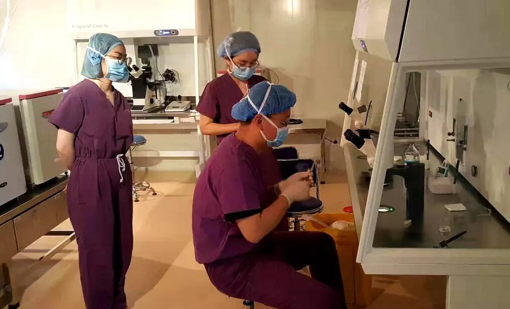 郑州供卵试管 2023郑州大学第三附属医院做试管婴儿大概多少钱？ ‘30周b超女孩生殖图’