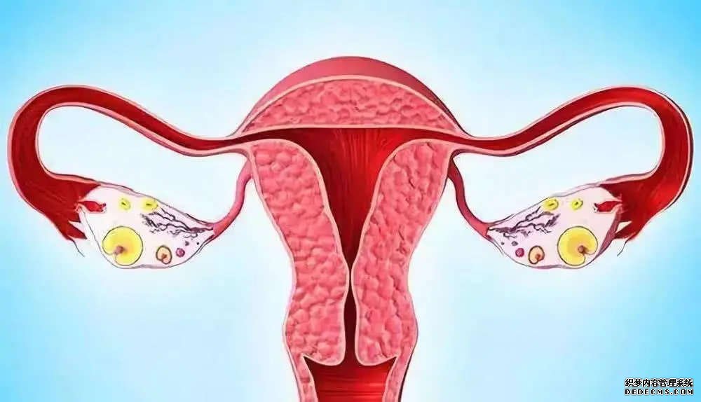 深圳供卵取几个 深圳做第三代试管婴儿费用多少钱? ‘孕囊大小判断男孩女孩’