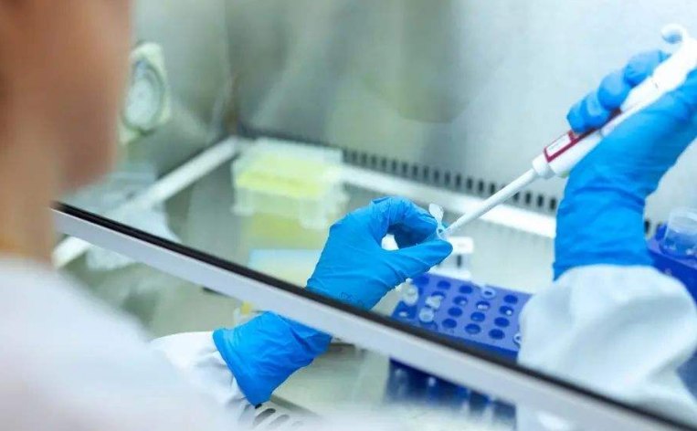 西安试管价格表 022年西安能试管包生男孩的医院名单，2家三代试管医院可供选择 ‘怀女儿跟怀儿子b超区别’