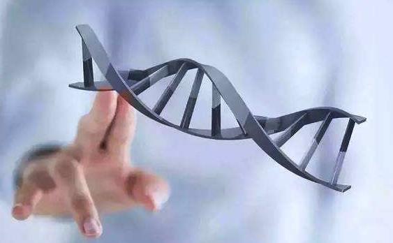 北京三代试管费用 北京家圆医院做试管婴儿怎么样? ‘13周nt男孩女孩区别’