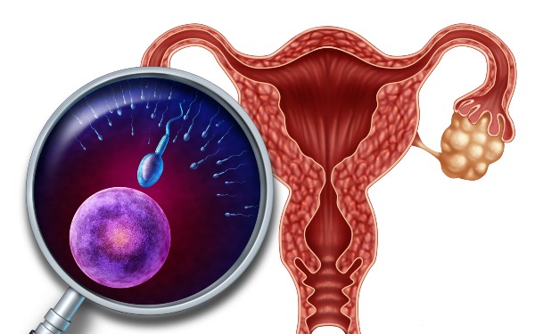 泰国第三代试管婴儿监测排卵有什么用？