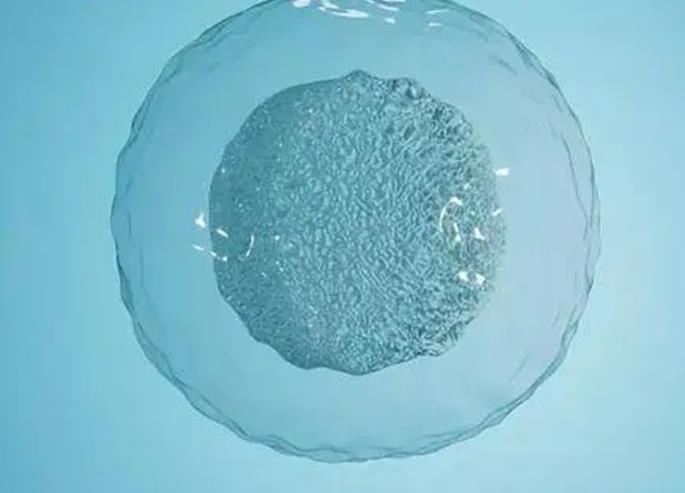 珠海私人医院做试管选男孩BF3,怎样选择适合自己的珠海试管婴儿医院？