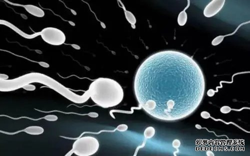 武汉借卵试管资讯 武汉试管婴儿医院排行榜 ‘22*17*13的孕囊是男孩女孩’