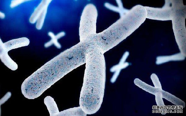 临沂兰山人民医院亲子鉴定 临沂人民医院试管流程前期检查什么？有哪些检查项目？ ‘孕囊圆是女孩和椭圆是男孩’