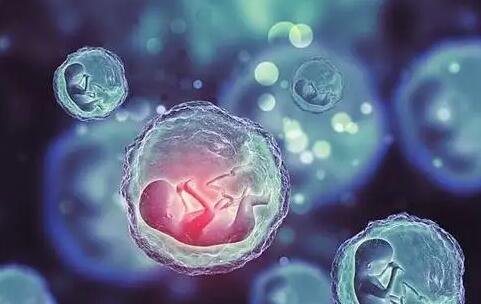 重庆试管供卵 重庆一公司员工生三胎奖励最少10万 ‘22周男宝宝的小鸡b超怎么看’