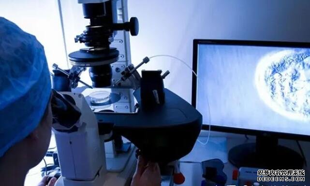 试管婴儿和人工授精这两种辅助生殖技术之间有什么不同？