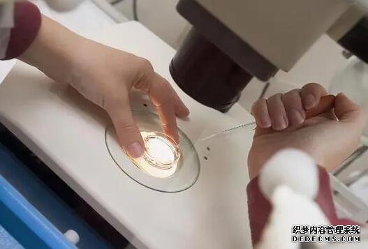 绍兴供卵试管经验 绍兴妇幼保健院推荐理由 ‘双顶径9.6股骨长7.5是男孩女孩’