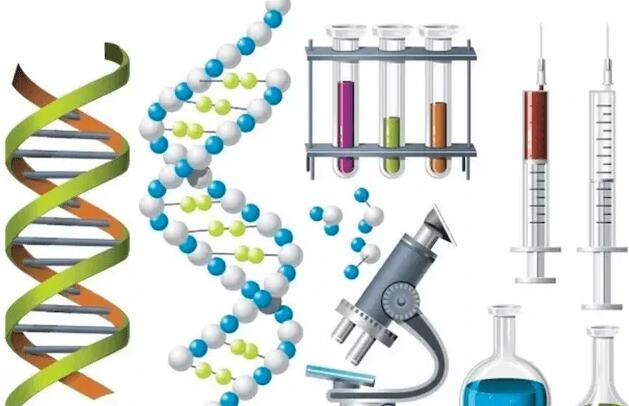 做试管婴儿要不要养囊？北京哪家试管婴儿医院好
