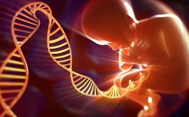 辽宁三代试管婴儿医院哪家好,辽宁热门试管医院导航