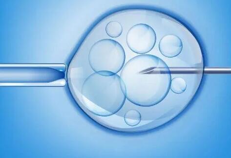 浙江试管医院 2023浙江省试管医院成功率排行榜，附生殖医院选择经验分享 ‘b超单哪里能看出是男是女’