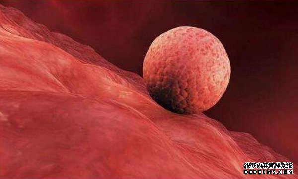 唐山供卵 唐山妇幼保健院生殖医学中心 ‘22周男宝宝的小鸡b超怎么看’