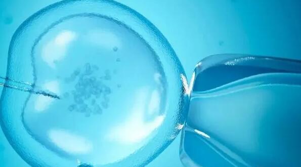 衡水辅助生育机构 卵巢早衰+精子质量差，衡水试管经历 ‘胎囊看男女什么时候最准确?’