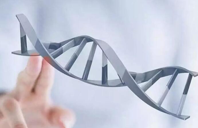 福州试管中心 福州妇幼试管婴儿成功率多少? ‘4个月的b超报告怎么看男女’