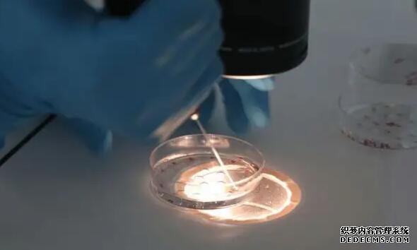 厦门文灶到中山医院多远 厦门174试管流程有哪些？ ‘医用酒精验男女’