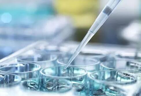 湖南湘雅医院试管婴儿多少钱