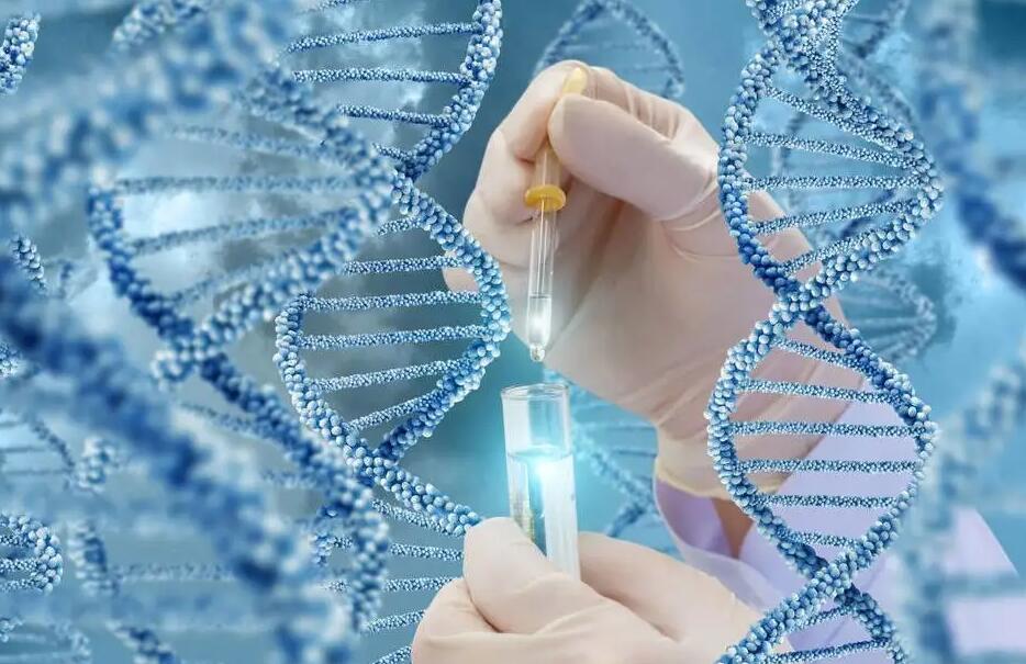 31岁做试管婴儿多少钱？试管婴儿的钱花在哪里一