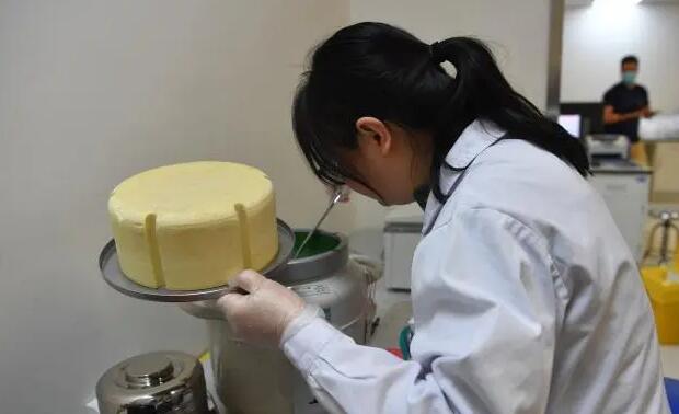 广东试管成功率 东5月起生育子女无须再审批简洁解读 ‘孕11周b超显示生殖器处有一条亮浅是男是女’