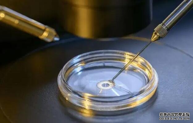 2022南京妇幼保健院试管婴儿成功率怎么样？-试管成功妊娠率