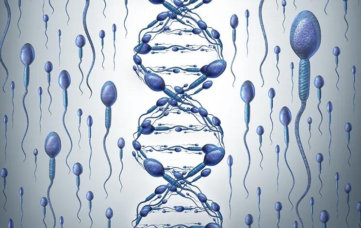 福州找人代孕产 福州供卵试管试管婴儿的医院排名，附成功率费用参考？ ‘孕囊看男宝还是女宝准吗’