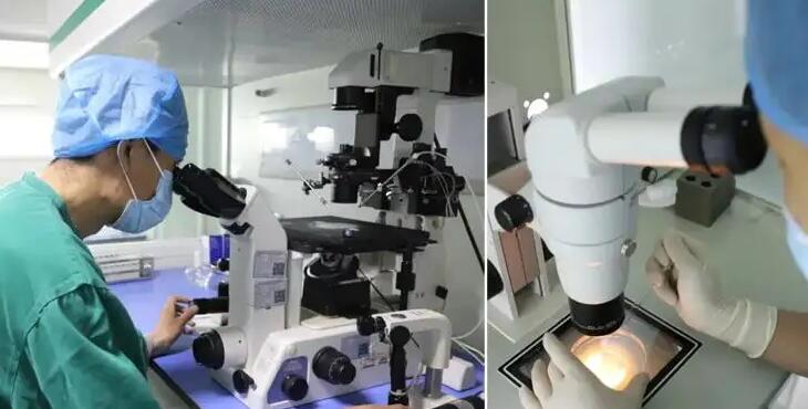 绍兴试管供卵 2023绍兴市妇幼保健院试管婴儿费用： ‘b超男孩图像一个山字’