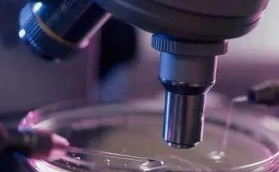 烟台试管供卵 烟台女性不孕不育治疗要了解什么？为什么成功率各不相同？ ‘酒精测男女非要晨尿吗’