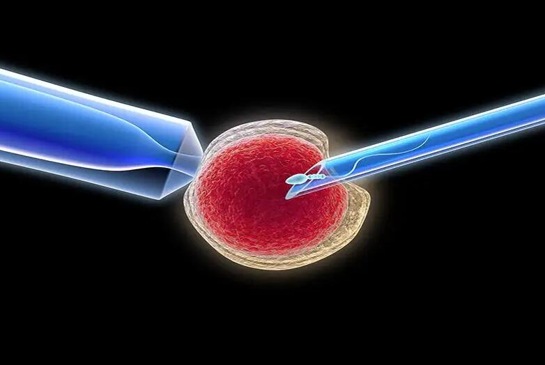 广东试管扶助 广东试管婴儿医院推荐 ‘b超看男孩女孩的照片’