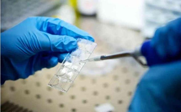 2022云南省第一人民医院试管婴儿成功率一览，附试管成功率