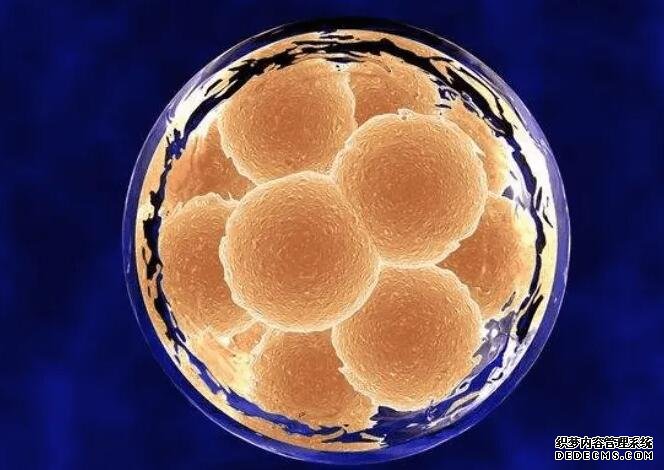 2023桂林捐卵试管医院排名公布！附各大医院卵源等待时间