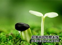 白带没有了是怀孕了么_77398