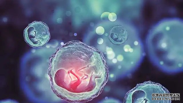 南昌代怀正规中介 南昌生殖医院精子库供精成功率 ‘为什么b超跟实际孕周不一样看男女准吗’