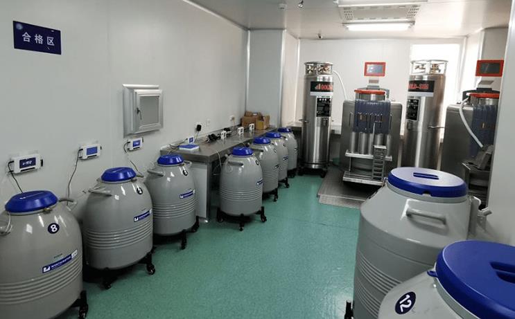 青岛试管价格表 2022青岛大学附属医院供卵试管baby做一次要多少钱？ ‘孕10周b超可以看男女吗’