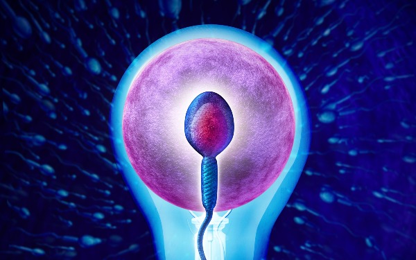 娄底中心医院做试管成功率高吗 2022娄底试管婴儿医院排行榜，试管助孕造娃劝你最好来看看 ‘如何从四个月的b超单上看男孩女孩’