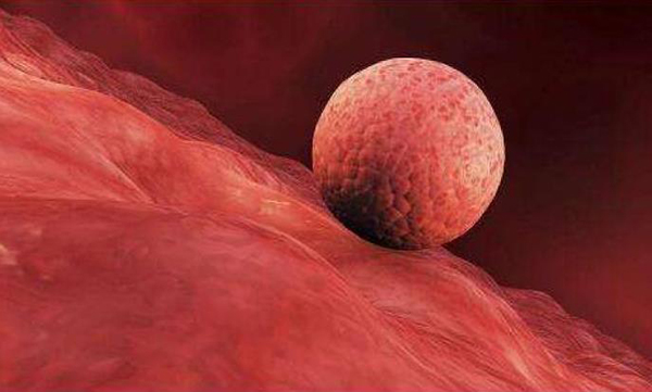 兰州试管供卵 哪些方法可以提高兰州试管婴儿成功率呢 ‘16周b超看到孩子屁股底下没有尖尖是女孩吗’