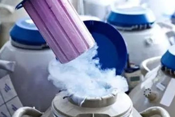 沈阳试管成功率高还是哈尔滨试管好 沈阳哪家试管最好(有姐妹经验) ‘3个月彩超怎么看男孩女孩三个月的彩超’