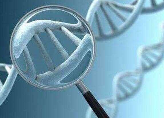 珠海有几家做试管婴儿的医院,哪家技术比较好?