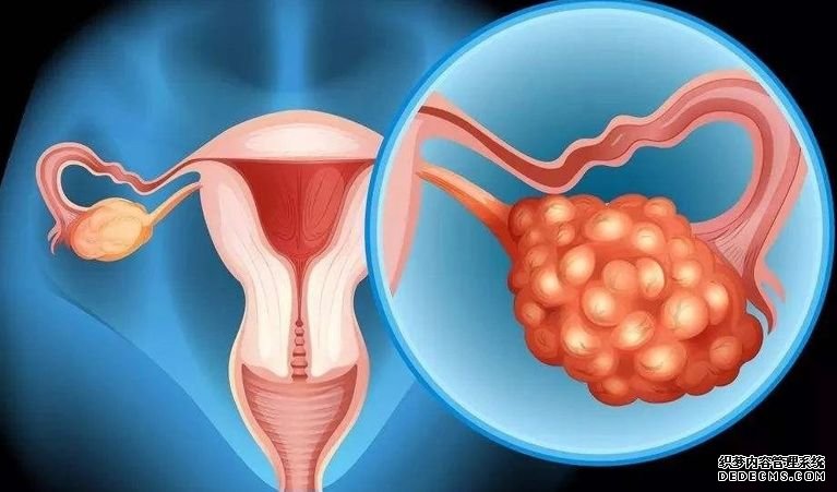 重庆借卵子生子成功率是多少 2022重庆供卵三代试管婴儿多少钱，附试管医院及供卵费用明细清单 ‘怀男孩和女孩的初期症状’